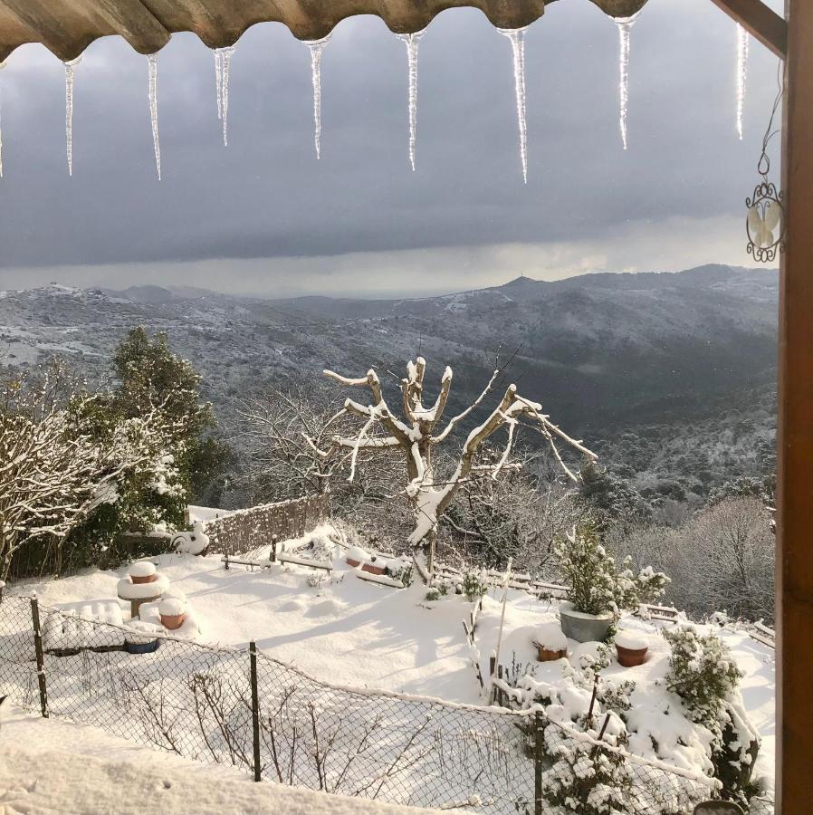 U Vechju Fragnu Apartamento Vezzani Exterior foto